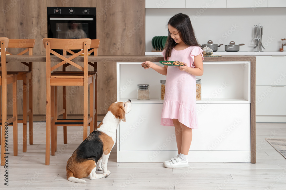 Wall mural Cute little Asian girl with cookies and Beagle dog in kitchen