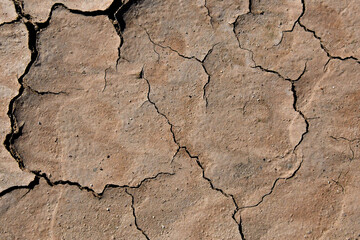 Desiccation cracks forms as sediment dries. Smaller polygons form as mud dries and cracks spread 