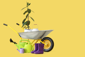 Plant in wheelbarrow and gardening supplies on yellow background