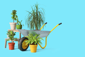 Lots of plants and wheelbarrow on blue background