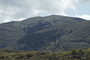 PARQUE NATURAL SIERRA DE LAS NIEVES. ANDALUCIA. ESPAÑA. 