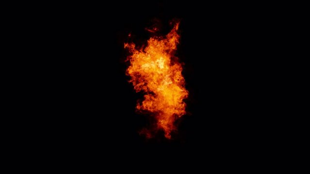 burning number 1, proress 4444 with alpha