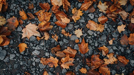 Dry leaves and gravel are scattered on the ground