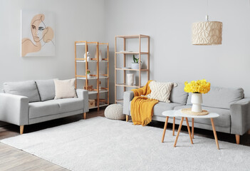 Cozy sofas, shelving unit and coffee table with vase of narcissus flowers in living room
