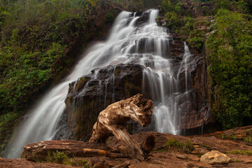 Waterfall in the forest in long exposure