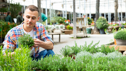 Positive smiling man choosing ornamental plants to decorate home courtyard at local garden center,...