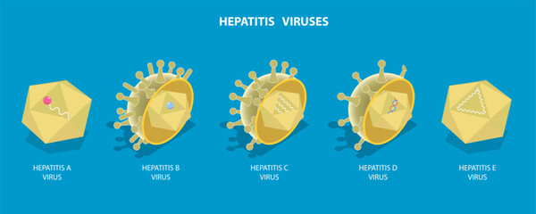 3D Isometric Flat Vector Illustration of Hepatitis Viruses, Liver Disease © TarikVision