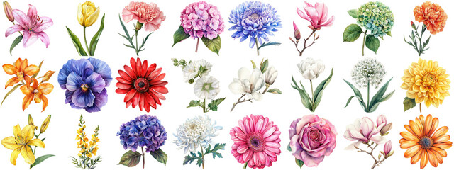 Watercolor flower set isolated background. Various floral collection of nature blooming flower clip...