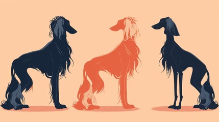 Three Afghan Hounds exhibit contrasting coats in black, white, and red tones with a minimal background