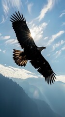 Eagle Soaring, A silhouette of an eagle with outstretched wings soaring high in the sky