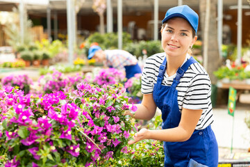 Skilled enthusiastic young female employee of garden center in striped t-shirt and blue dungarees...