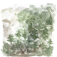 Pine forest abstract watercolor in muted green background. High quality illustration. The color wash in textured paper. Hand drawn. Good for cards, craft paper, wrapping paper, backgrounds, design