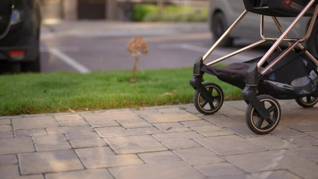 Close-up. A baby stroller is passing along the paving slabs on the footpath outdoors, pushed by an unrecognizable woman in dark patent leather shoes and black trousers