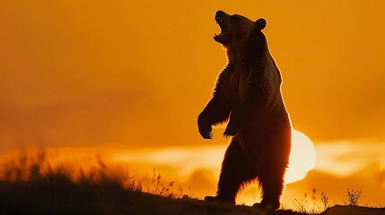 Roaring Bear, A silhouette of a bear standing on its hind legs and roaring