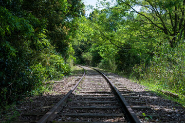 Obraz premium 日本の鳥取県倉吉市関金のとても美しい廃線跡