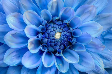 Boho Decor: Blue Bloom Poster Art - Unique Bohemian Style Flower Print
