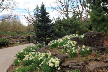 Spring landscape with train in the park