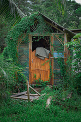 Bamboo hut overgrown with grass, old hut illustration material