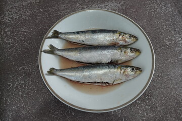 Peixe Pequeno Sardinha 