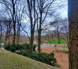 parks, urban landscape, natural landscape, buildings, streets, sculptures, industry