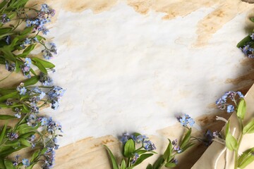 Beautiful forget-me-not flowers and old parchment, top view