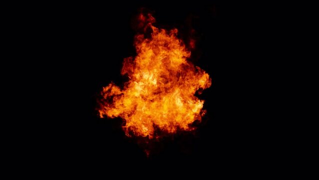 burning number 0, proress 4444 with alpha