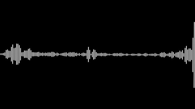 Audio equalizer on black background. white audio frequency sound wave on black background,
White and black audio visualization effect. Abstract wave motion equalizer. Digital interface element.