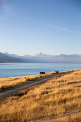 Lake Pukahi, New Zealand