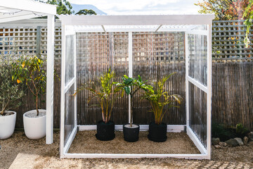 custom built green house under construction with palms and frangipani inside of it