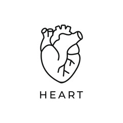 Heart flat line icon. Vector thin pictogram of human internal organ, outline illustration for cardiology clinic.