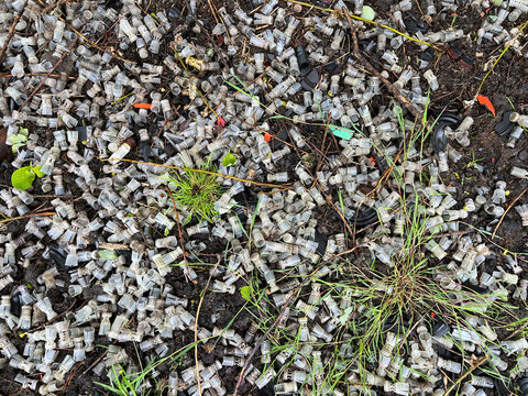 plastic wad waste from shotgun cartridges