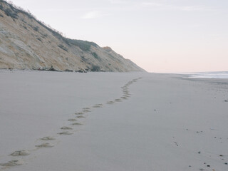 Footprints in the Sand