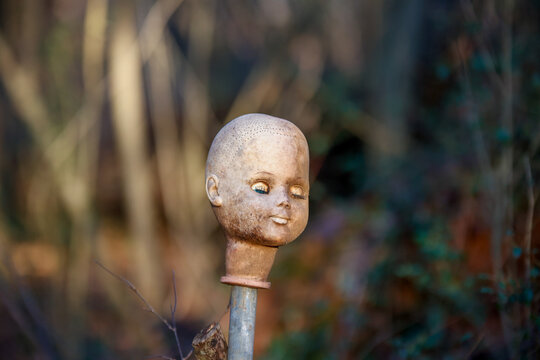 Old and weathered creepy doll head on a metal poll in the middle of the woods.
