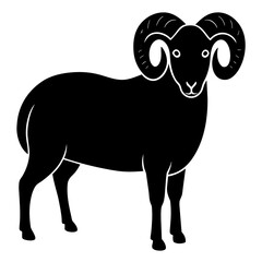 illustration of a sheep