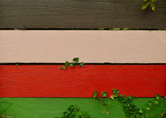 A brightly painted fence with ivy.
