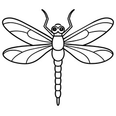 dragonfly on white background