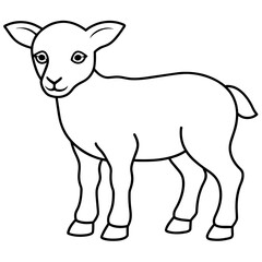 illustration of a sheep