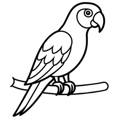 parrot on a branch