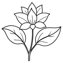 Obraz premium vector black and white flower