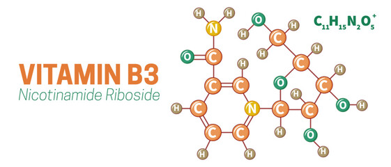 Vitamin B3 Nicotinamide Riboside Molecule Illustration