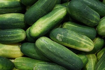 Green Cucumber and Vegetables from Sacolão market