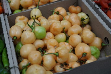 Peppers Vegetables from Sacolão market