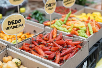 Peppers Vegetables from Sacolão market