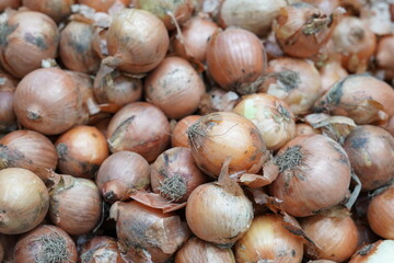 Onion and Vegetables from Sacolão market
