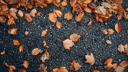 Close up of leaves on dark surface