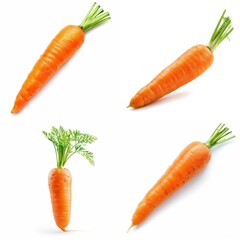 set portrait carrot  isolated white background