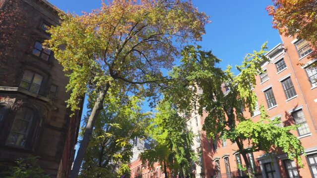 NEW YORK, NEW YORK USA &ndash; NOVEMBER 8, 2023: Autumn leaf color trees grow around the Abe Lebewohl Triangle near the Saint Mark's Church at East Village in New York City.