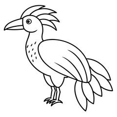 Tropical bird paradise