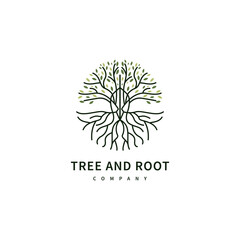 Tree and root line vector illustration tree of life logo design