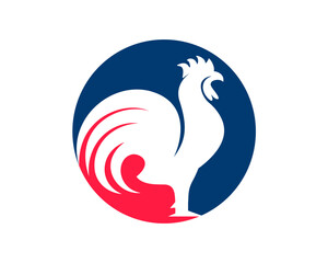 rooster logo icon